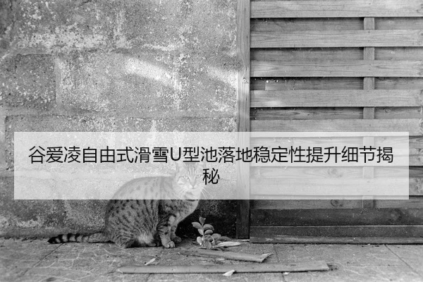 gu-ai-ling-zi-you-shi-hua-xue-xing-chi-luo-di-wen-ding-xing-ti-sheng-xi-jie-jie-mi-2-888.jpg