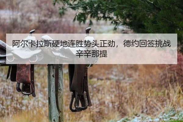 a-er-ka-la-si-ying-di-lian-sheng-shi-tou-zheng-jin-de-yue-hui-qian-tiao-zhan-xin-xin-na-ti-2-227.jpg