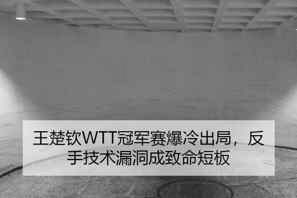 王楚钦WTT冠军赛爆冷出局，反手技术漏洞成致命短板